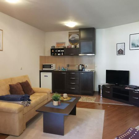Sunny Studio Apartment - Few Steps From Gondola Μπάνσκο Εξωτερικό φωτογραφία