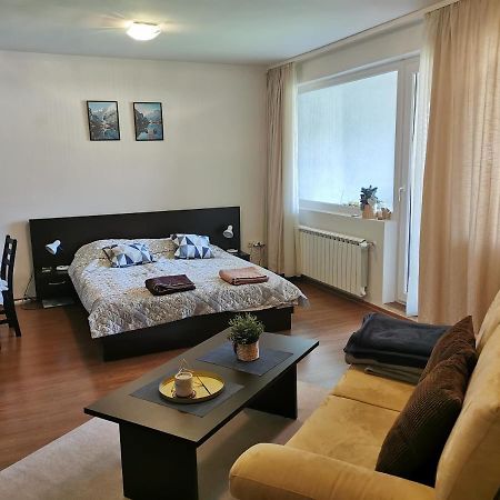 Sunny Studio Apartment - Few Steps From Gondola Μπάνσκο Εξωτερικό φωτογραφία