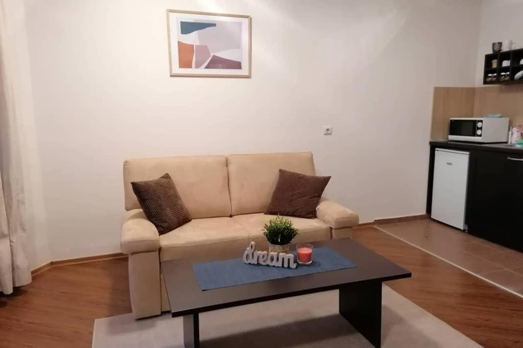 Sunny Studio Apartment - Few Steps From Gondola Μπάνσκο Εξωτερικό φωτογραφία