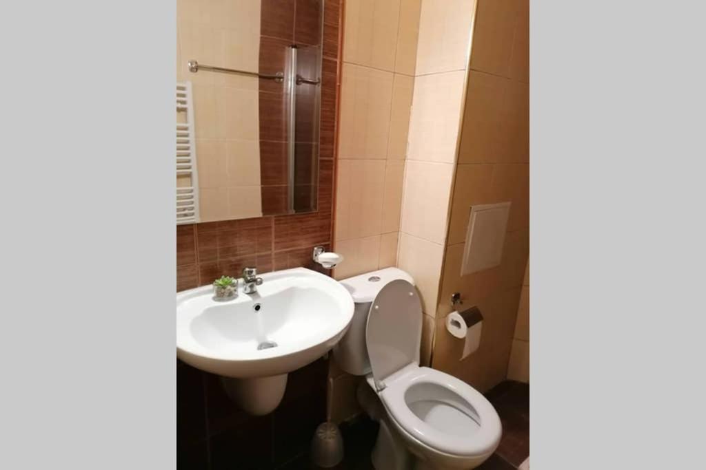 Sunny Studio Apartment - Few Steps From Gondola Μπάνσκο Εξωτερικό φωτογραφία