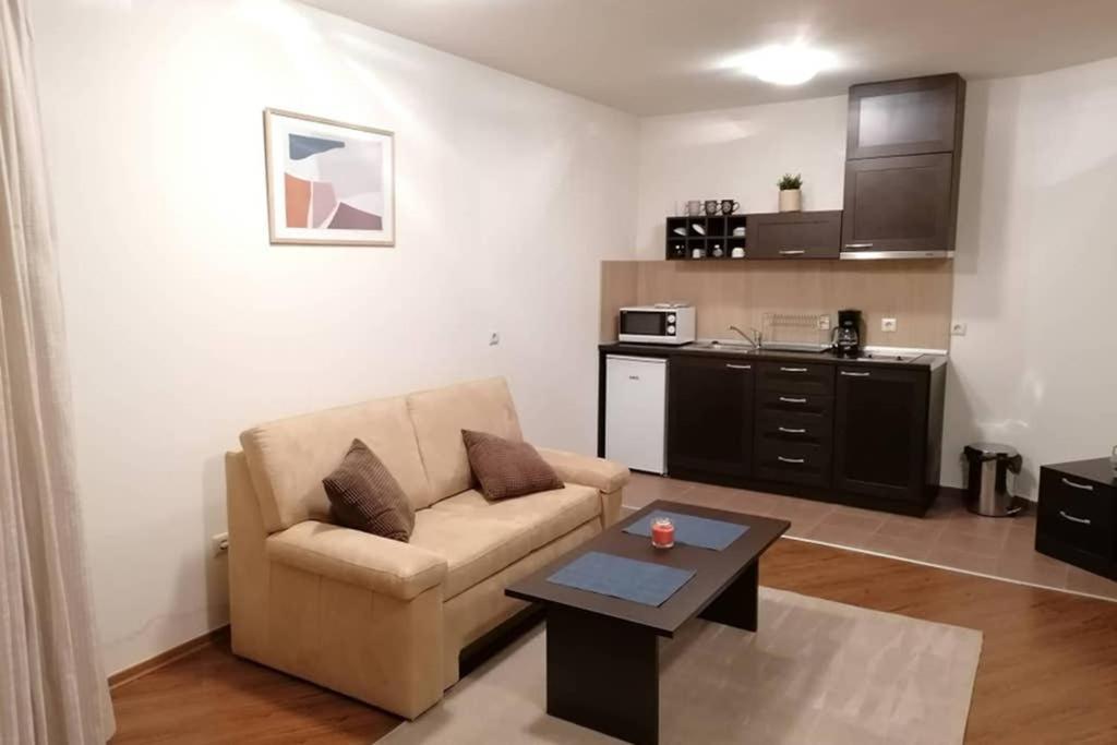 Sunny Studio Apartment - Few Steps From Gondola Μπάνσκο Εξωτερικό φωτογραφία