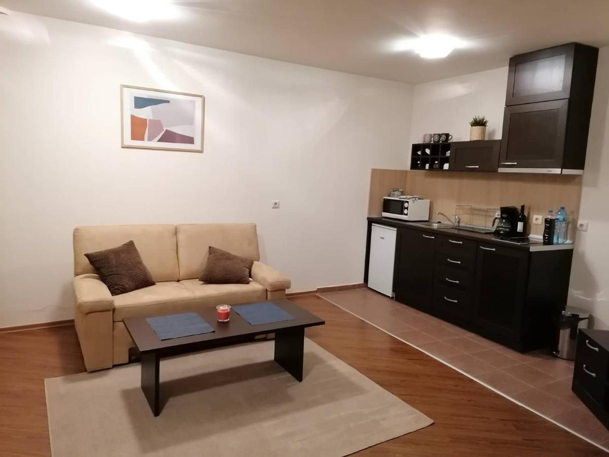 Sunny Studio Apartment - Few Steps From Gondola Μπάνσκο Εξωτερικό φωτογραφία