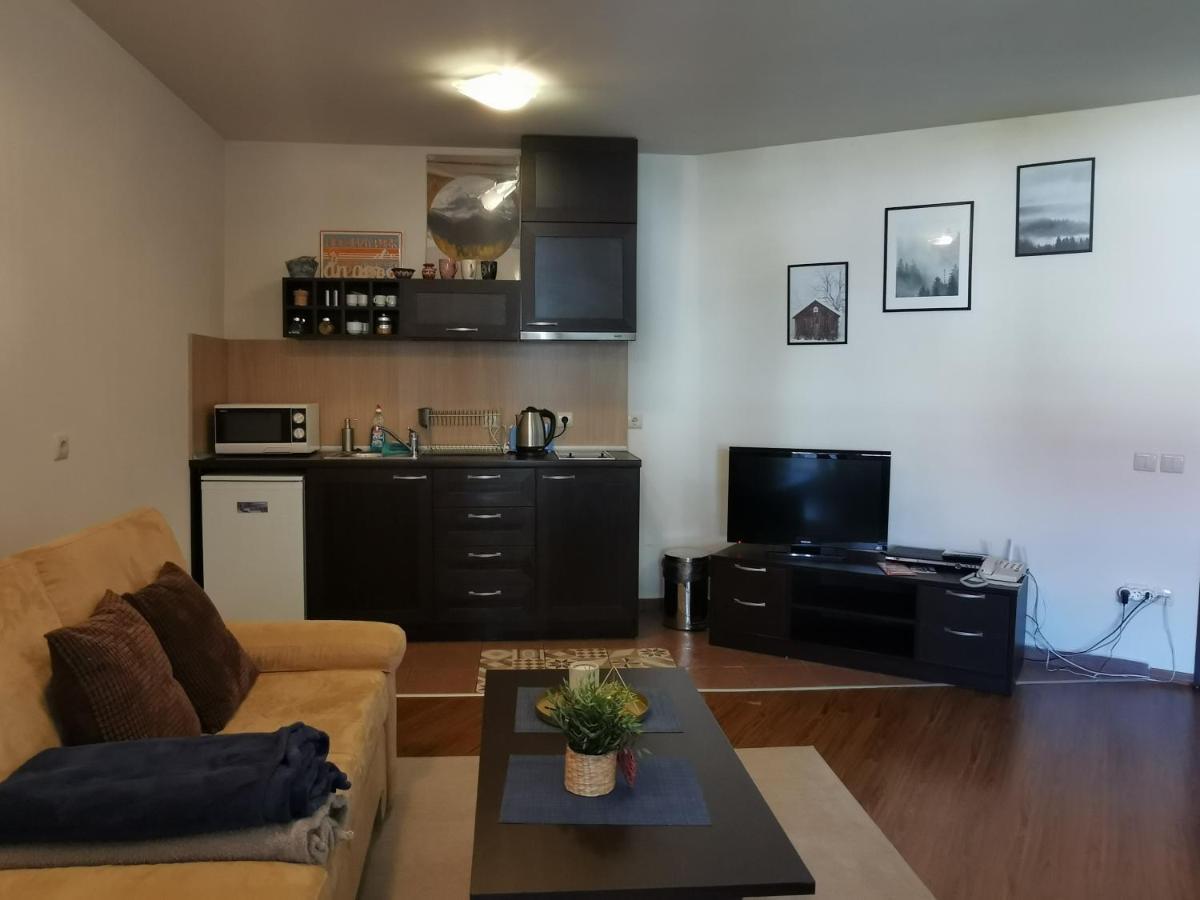 Sunny Studio Apartment - Few Steps From Gondola Μπάνσκο Εξωτερικό φωτογραφία